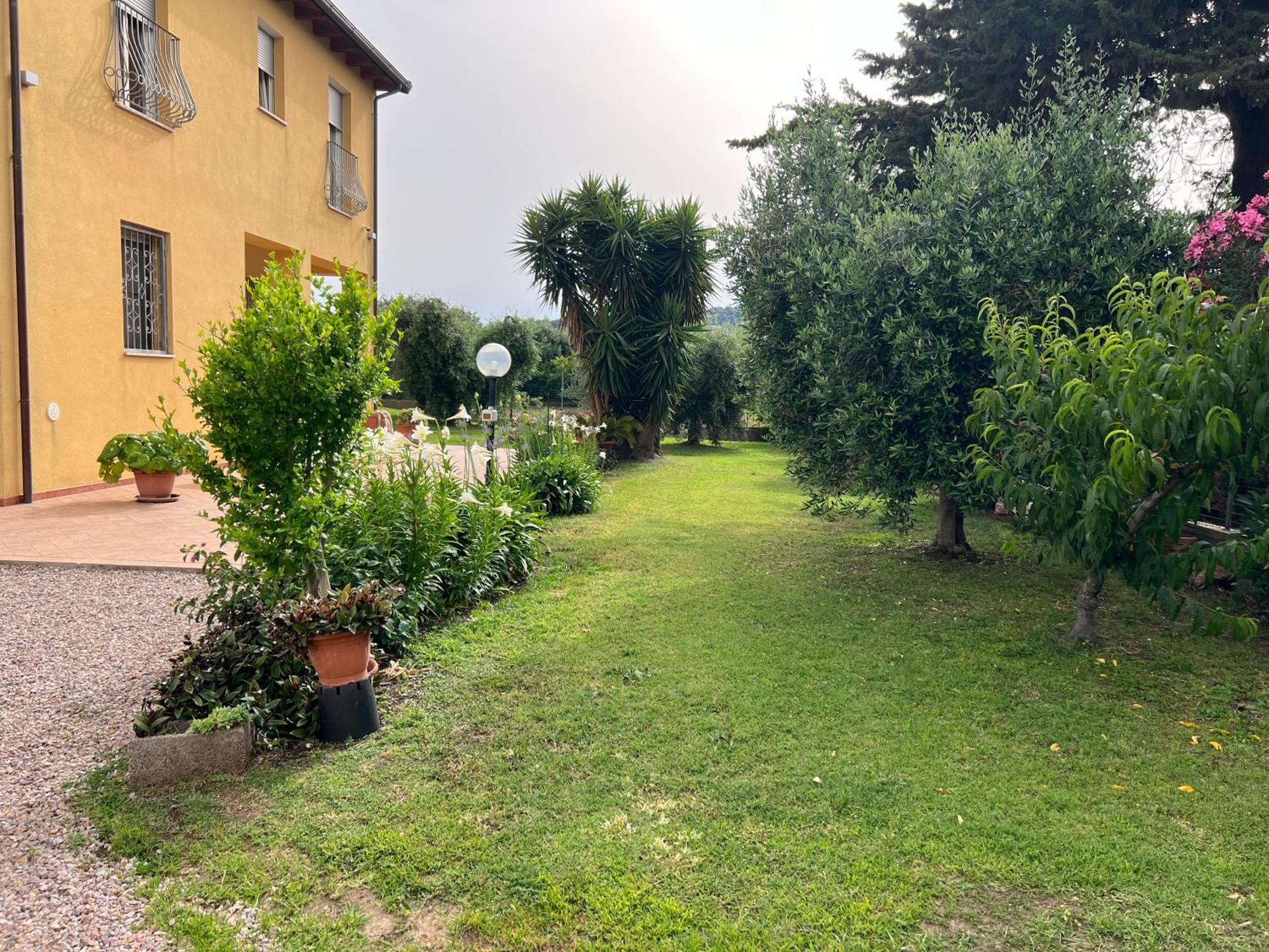 Agriturismo Il Giardino Degli Olivi Appartamenti Кастильоне-делла-Пеская Экстерьер фото
