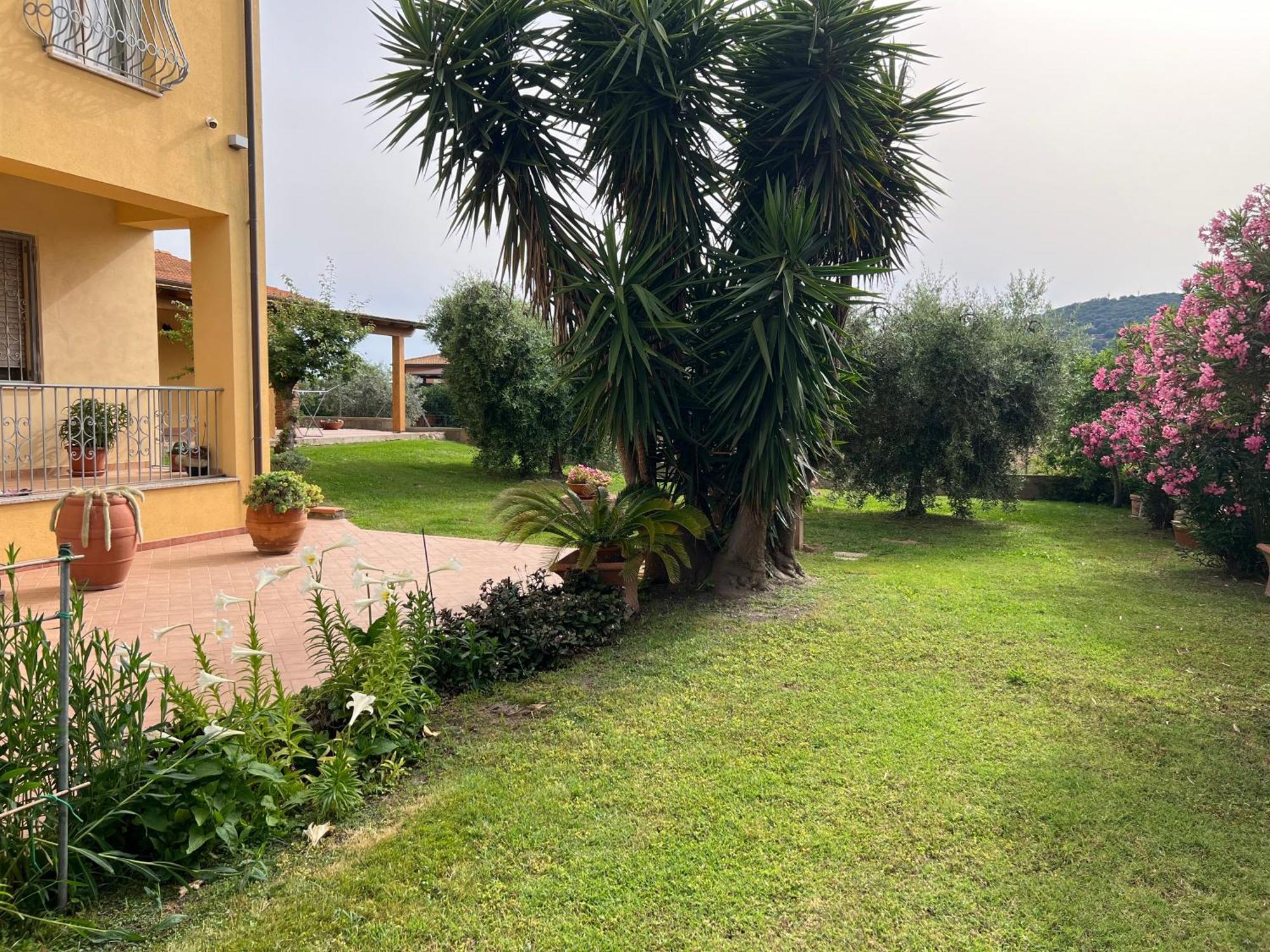 Agriturismo Il Giardino Degli Olivi Appartamenti Кастильоне-делла-Пеская Экстерьер фото
